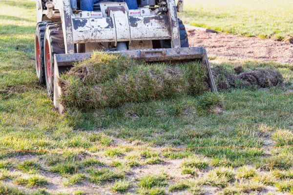 Landscape Leveling in Mansfield