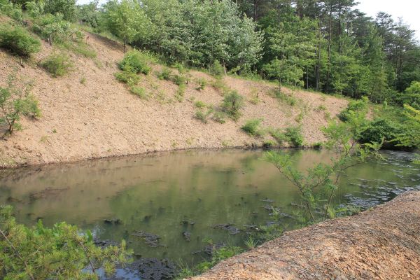Cost of Pond Erosion Repair in Mansfield